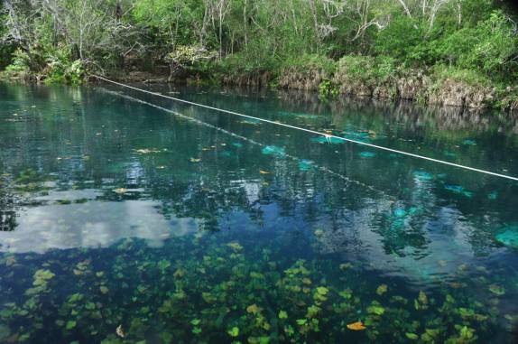 Cenote Car Wash, em Tulum, na costa caribenha do Yucatán, no México